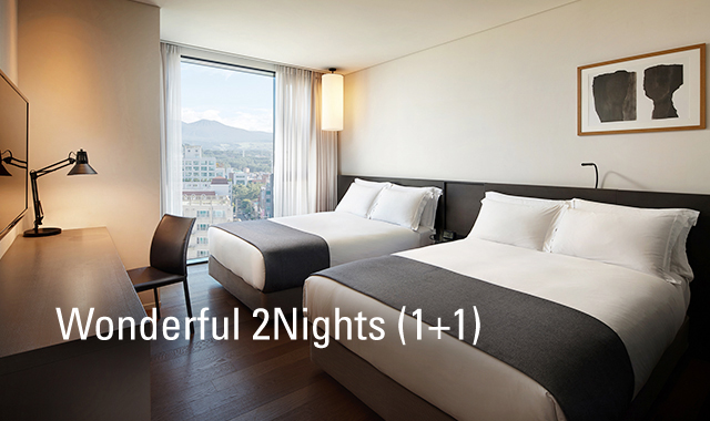 Wonderful 2Nights (1+1)