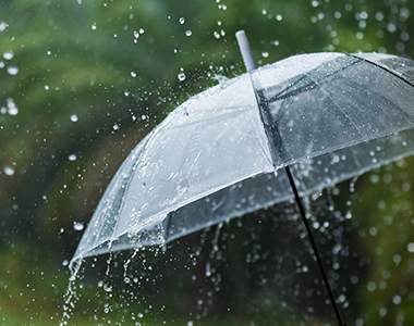 Monsoon Hocance