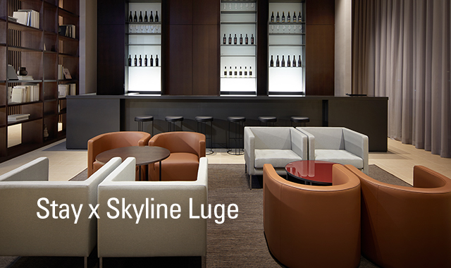 Stay x Skyline Luge