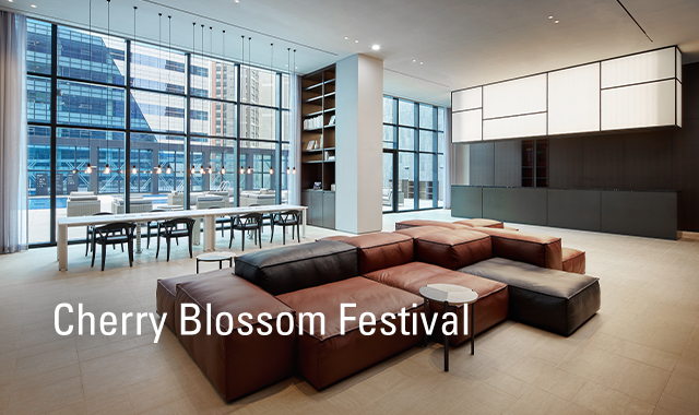 Cherry Blossom Festival