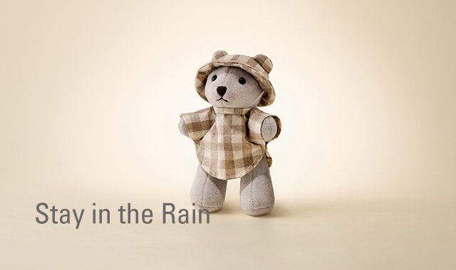 Stay in the Rain