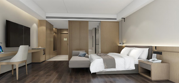 프리미어 디럭스