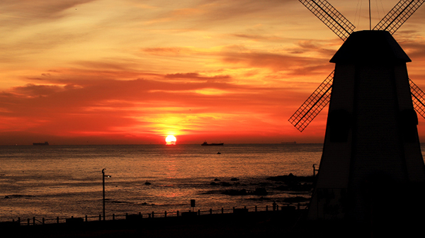 New Year, Make a Wish with Shilla Stay