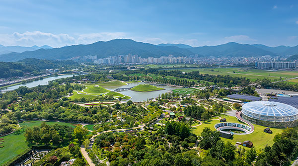 Suncheon Memories