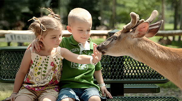 Zoo Pass