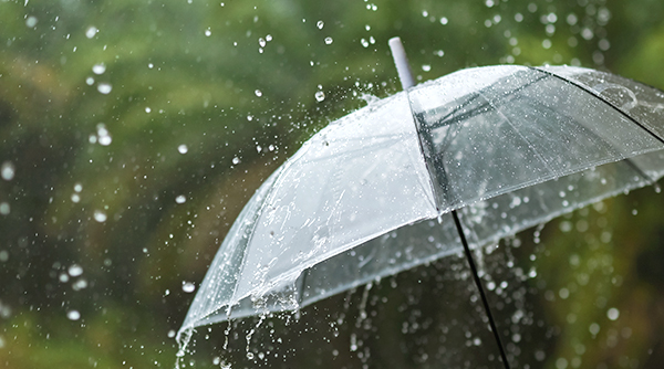 Monsoon Hocance