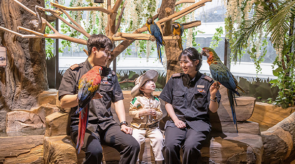 Little Zookeeper Stay