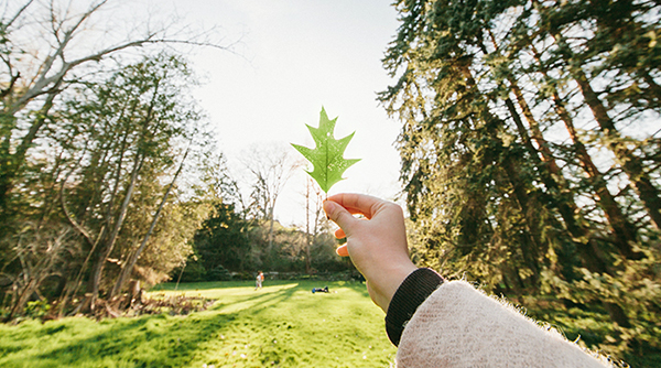 신라스테이 울산 X 영남알프스