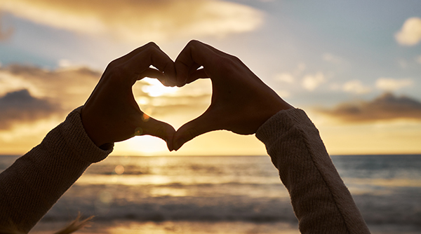 Wish Your Bucket 2026	