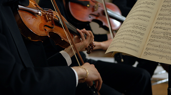 Stay in Classic - Cologne Orchestra