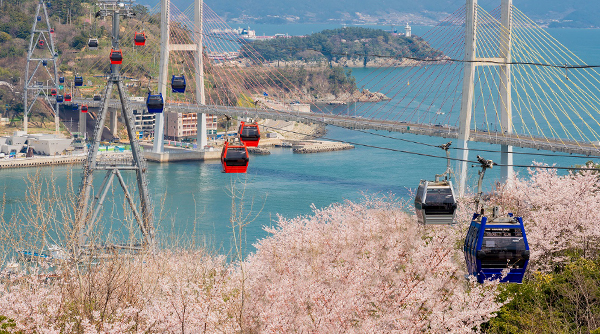 Spring in Yeosu