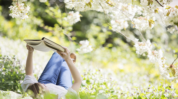Spring Moments in Jinhae