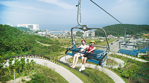 Stay x Skyline Luge
