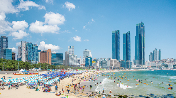 Voyage to Busan